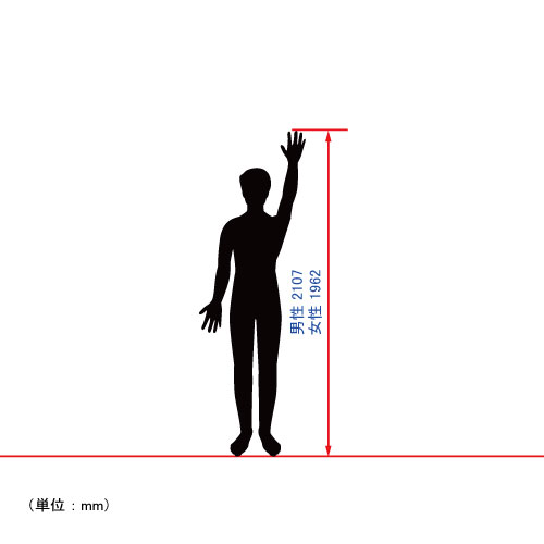 人のサイズ_手を上げた時