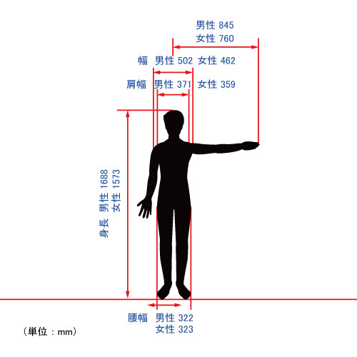 人のサイズ